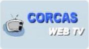 web tv